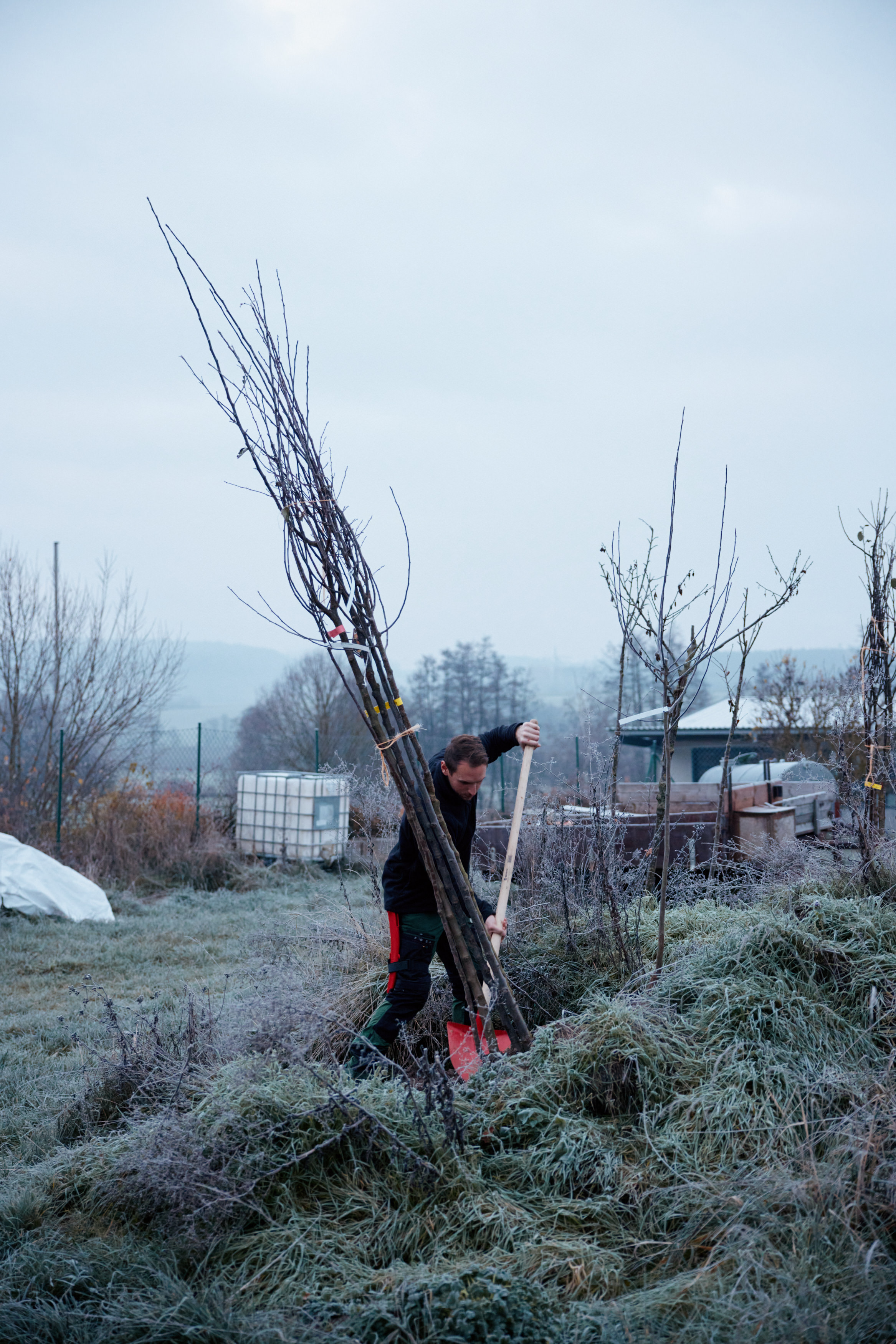 Friedrich Pickel N-ERGIE Magazin Fotografie Obstbäume Pflanzen in Neuhof an der Zenn