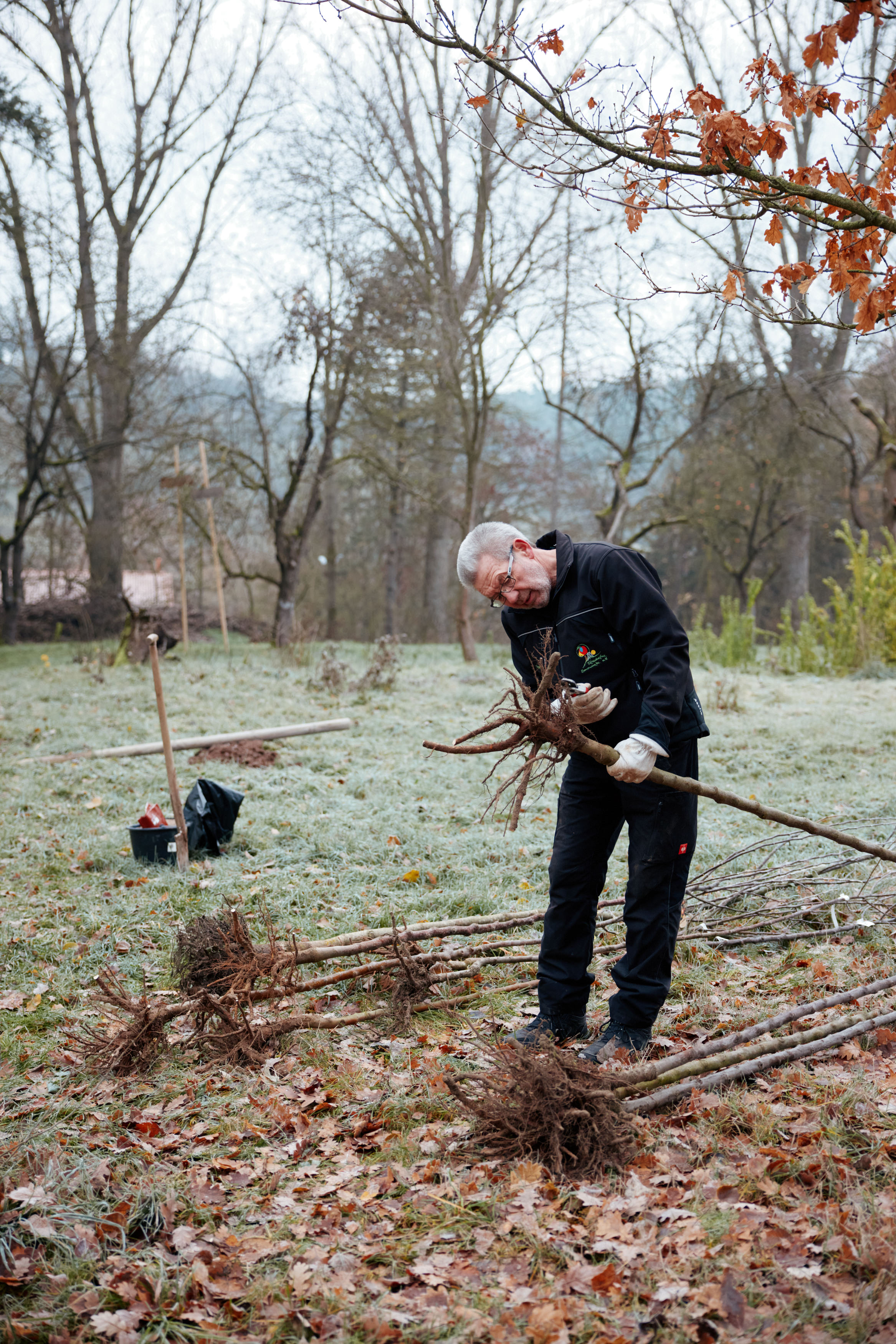 Friedrich Pickel N-ERGIE Magazin Fotografie Obstbäume Pflanzen in Neuhof an der Zenn