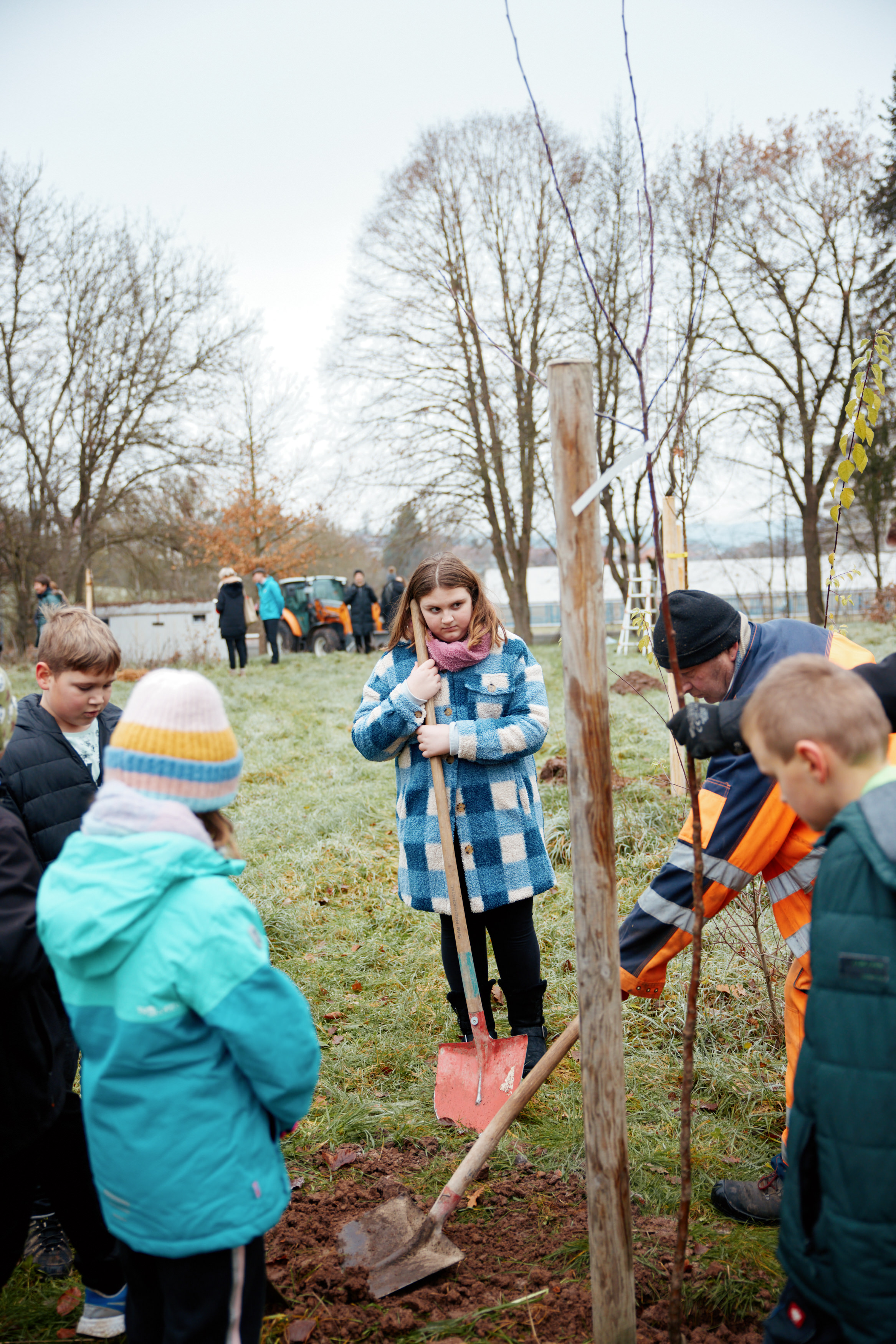 Friedrich Pickel N-ERGIE Magazin Fotografie Obstbäume Pflanzen in Neuhof an der Zenn