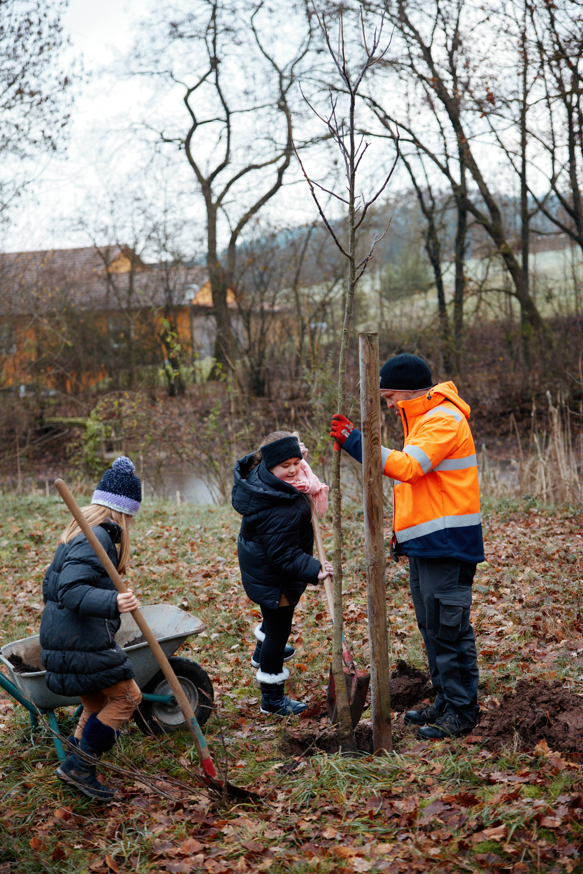 Friedrich Pickel N-ERGIE Magazin Fotografie Obstbäume Pflanzen in Neuhof an der Zenn