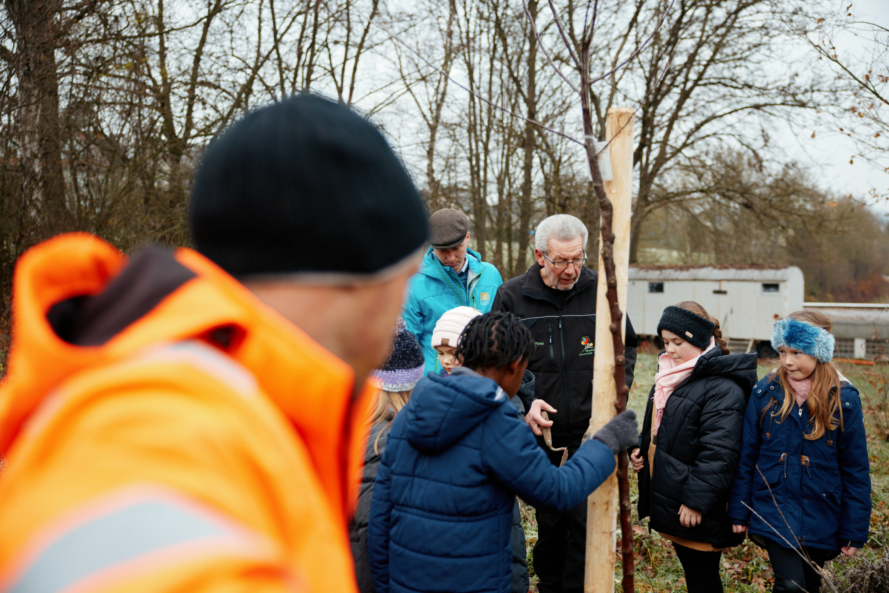 Friedrich Pickel N-ERGIE Magazin Fotografie Obstbäume Pflanzen in Neuhof an der Zenn