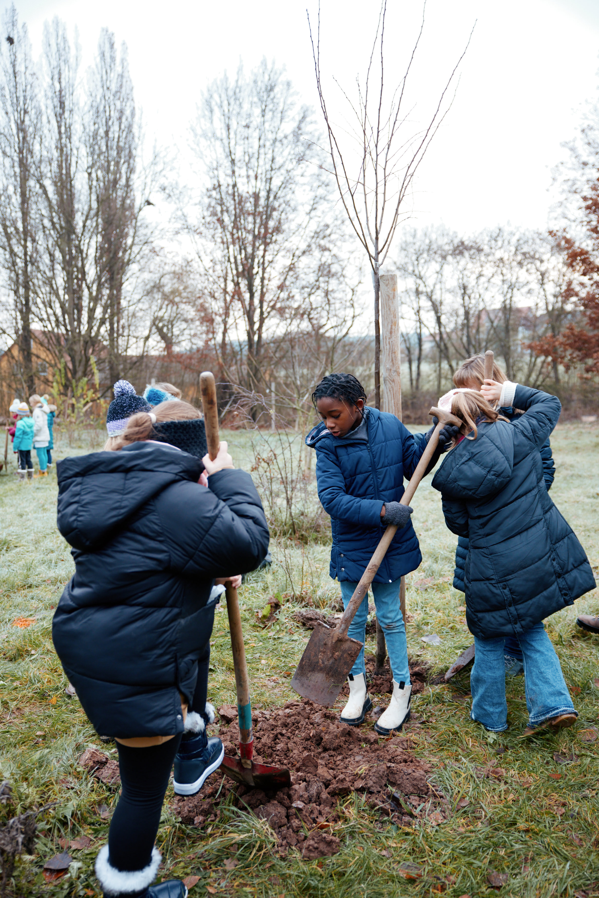 Friedrich Pickel N-ERGIE Magazin Fotografie Obstbäume Pflanzen in Neuhof an der Zenn