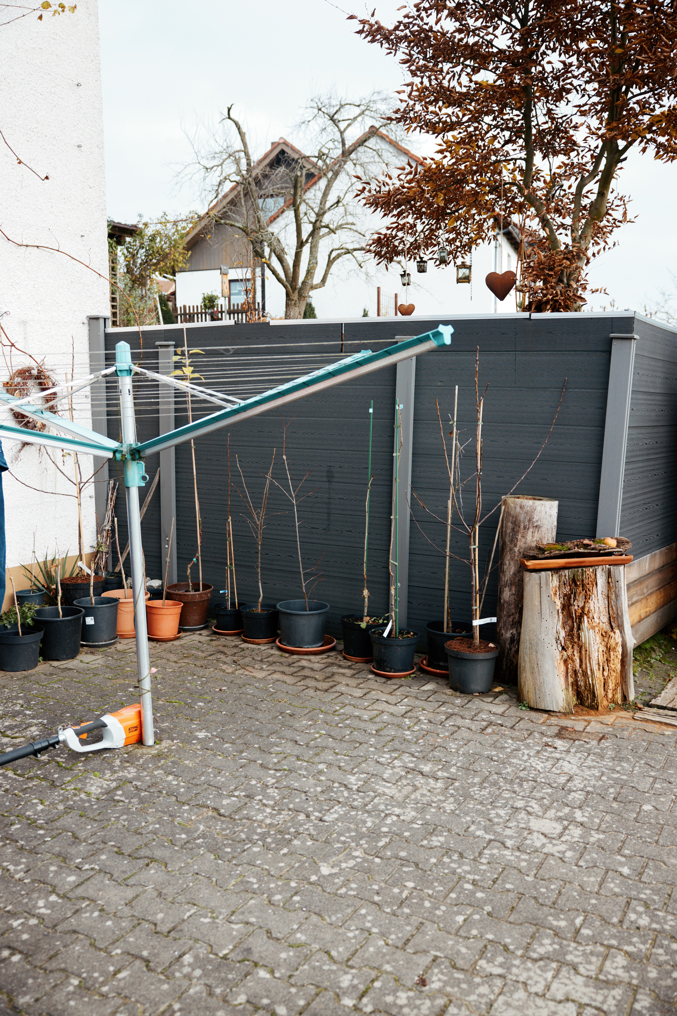 Friedrich Pickel N-ERGIE Magazin Fotografie Obstbäume Pflanzen in Neuhof an der Zenn