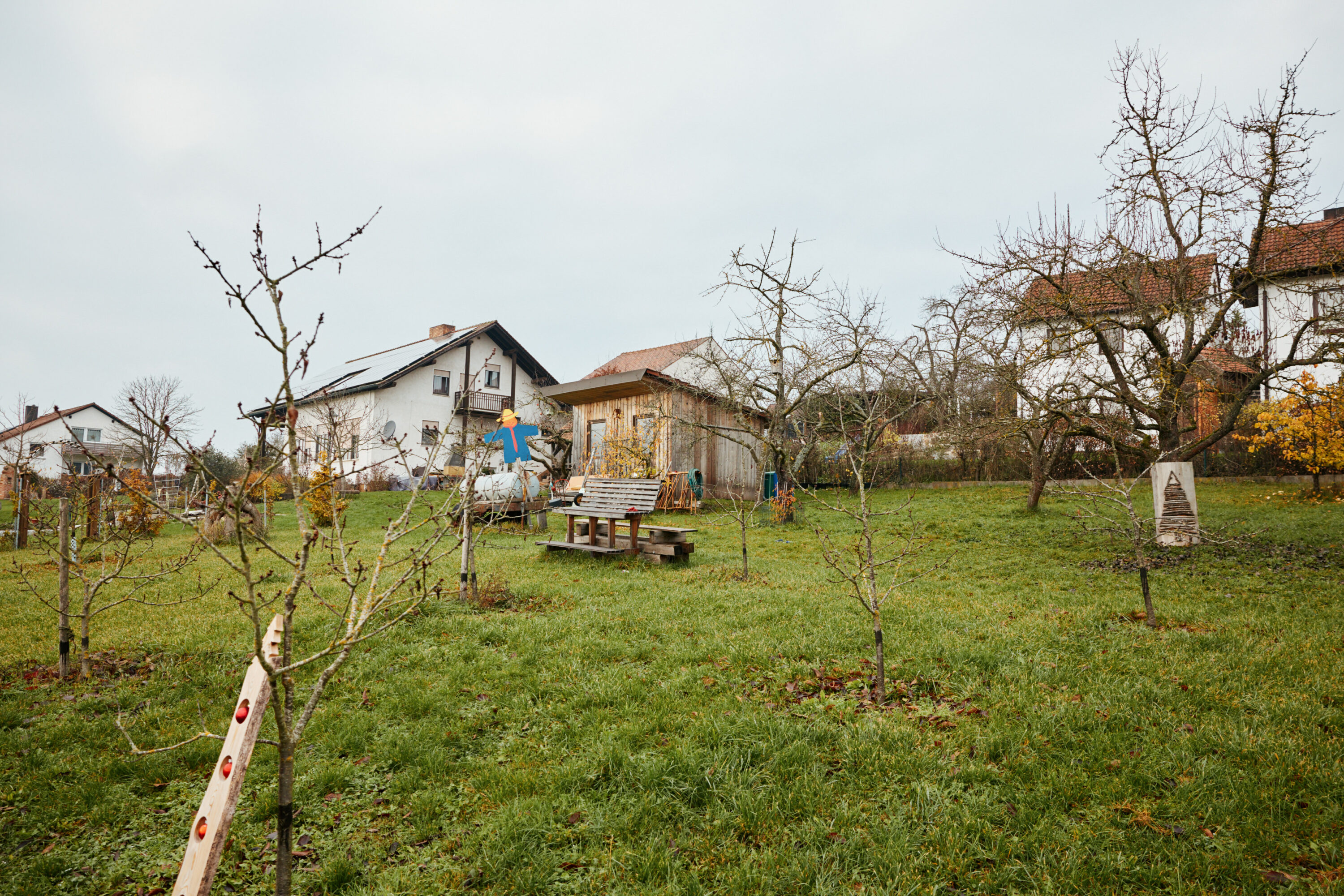 Friedrich Pickel N-ERGIE Magazin Fotografie Obstbäume Pflanzen in Neuhof an der Zenn